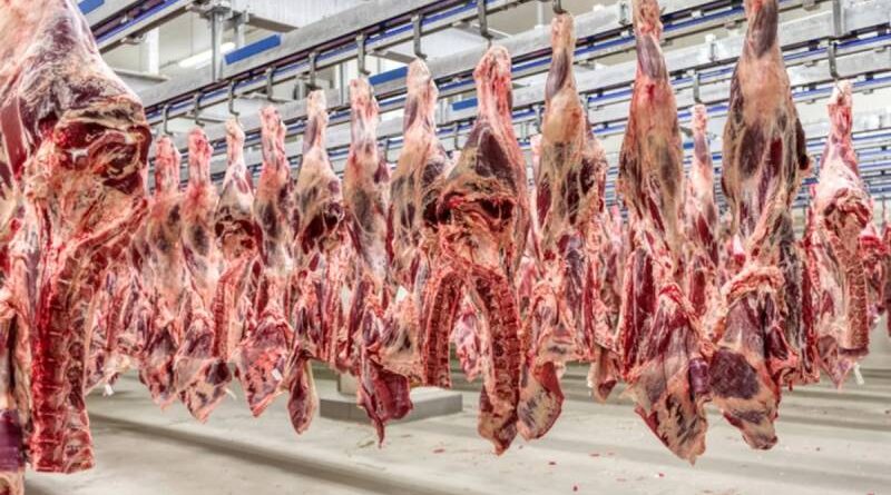 União Europeia suspende importação de carnes, ovos e mel do Brasil