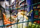 Cesta básica ultrapassa R$ 800 em Campo Grande e corrói poder de compra do funcionalismo público