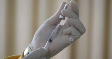 Anvisa aprova testes em humanos de vacina brasileira contra malária