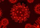 França registra a primeira infecção humana pelo vírus Shamonda no mundo