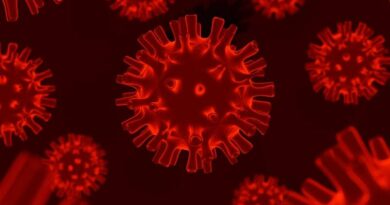 França registra a primeira infecção humana pelo vírus Shamonda no mundo