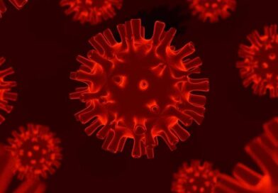 França registra a primeira infecção humana pelo vírus Shamonda no mundo